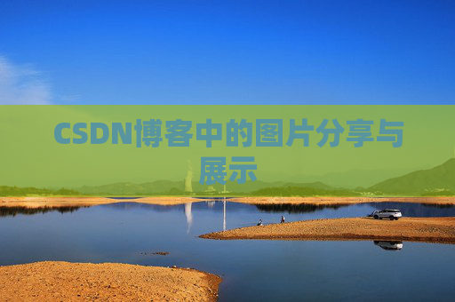CSDN博客中的图片分享与展示
